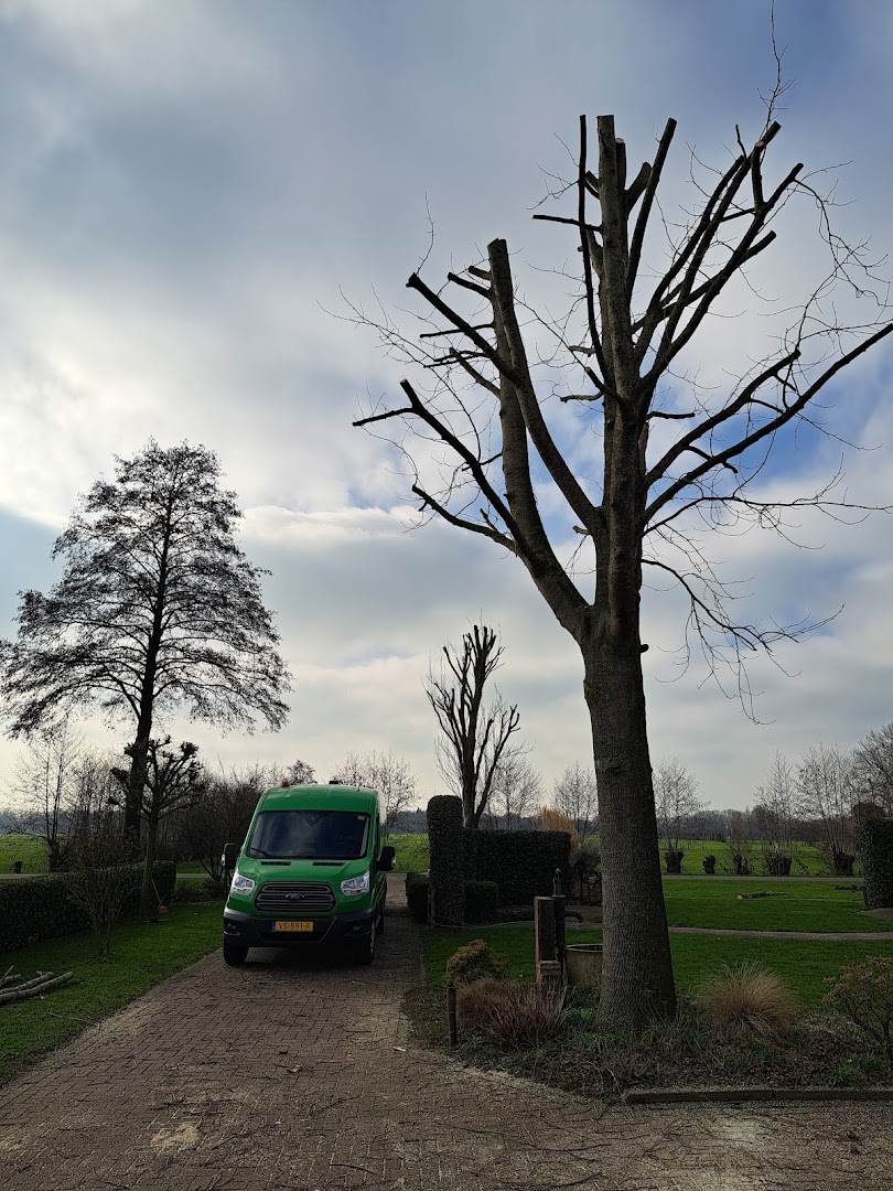 wout meulenbeek dienstverlening — Foto’s 2